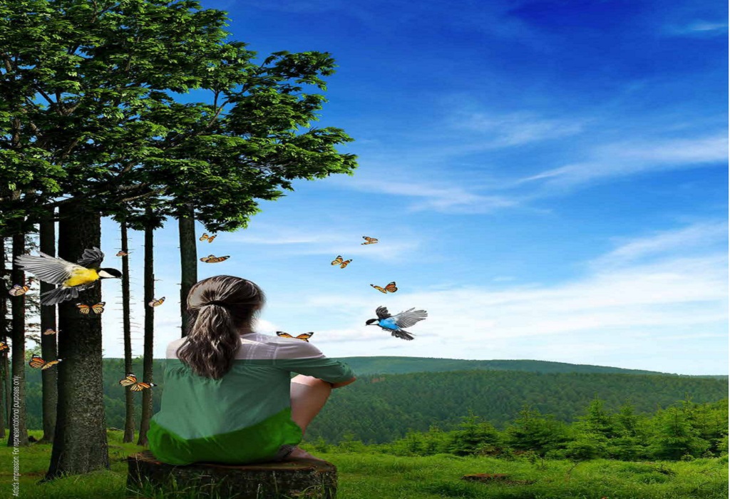 mahindra kanakapura road apartment